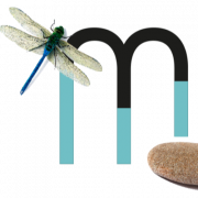 Chef.fe de projet hydraulique fluviale et aménagement