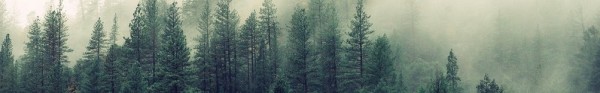 https://ci5.googleusercontent.com/proxy/BMO5gKFoGgp7K2blRihKeYP_iF8GSIERJCywXR4ntVAgFrQFI3msyB_70LiEl5tNTA3S0MwHtApdB4klByHiVQ=s0-d-e1-ft#http://096u.mj.am/img/096u/b/m647x/g8upk.jpeg