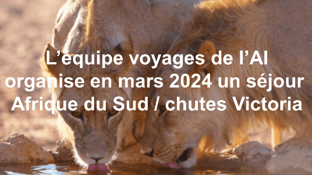 Voyage "Afrique du Sud et chutes Victoria"